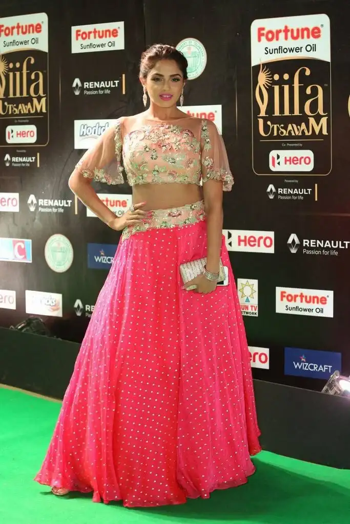 Indian Model Asmita Sood At IIFA Awards In Pink Dress